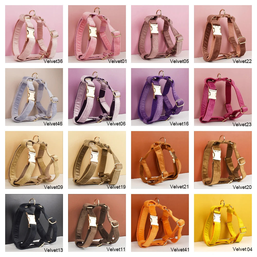 Gorgeous Unbreakable Dog Harness & Leash Set with Engraving