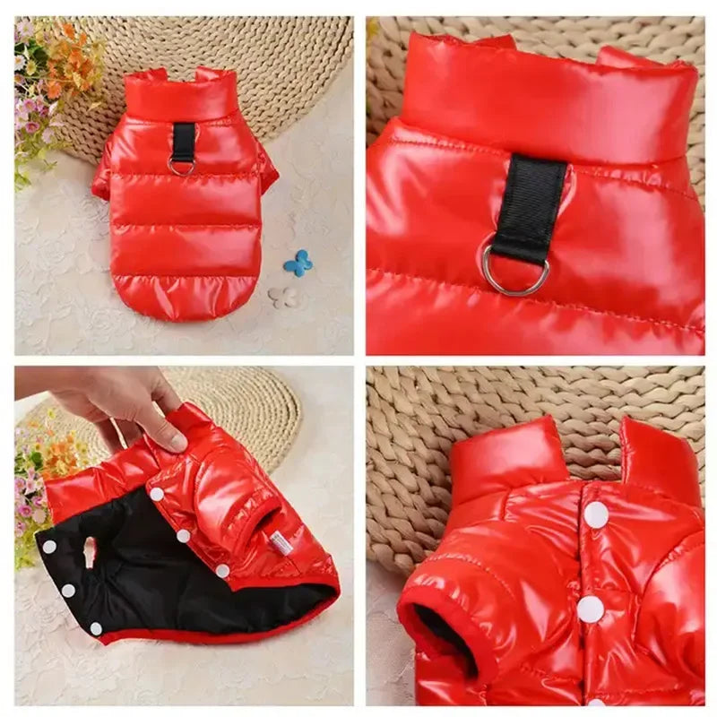 Bright & Cozy PU Leather Waterproof Dog Jacket - For Small Pets