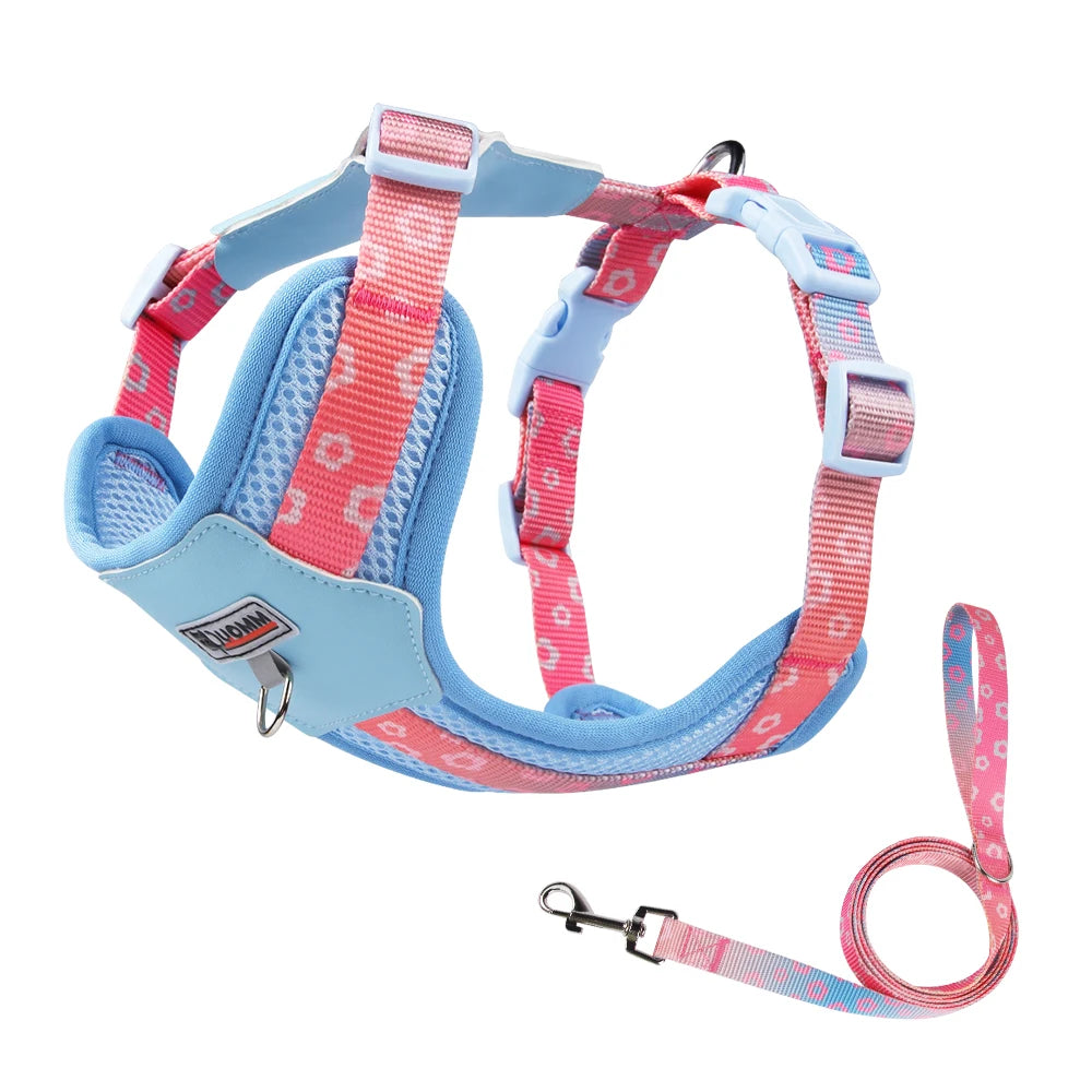 Vibrant Gradient No-Pull Dog Harness & Leash Set for Small Dogs