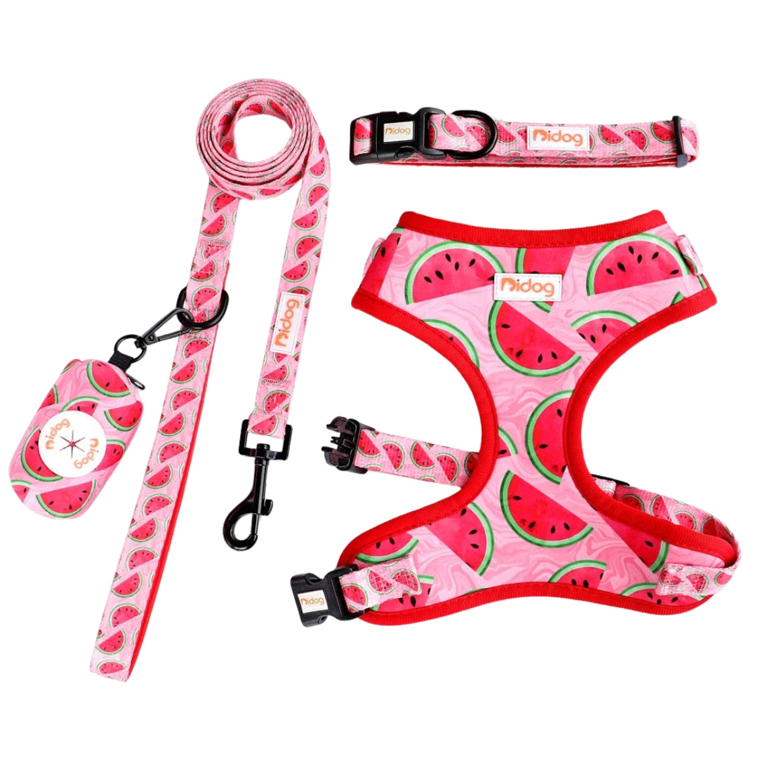 Vibrant Adventure Set Mesh Nylon Collar, Harness & Leash with Handy Waste Bag Holder
