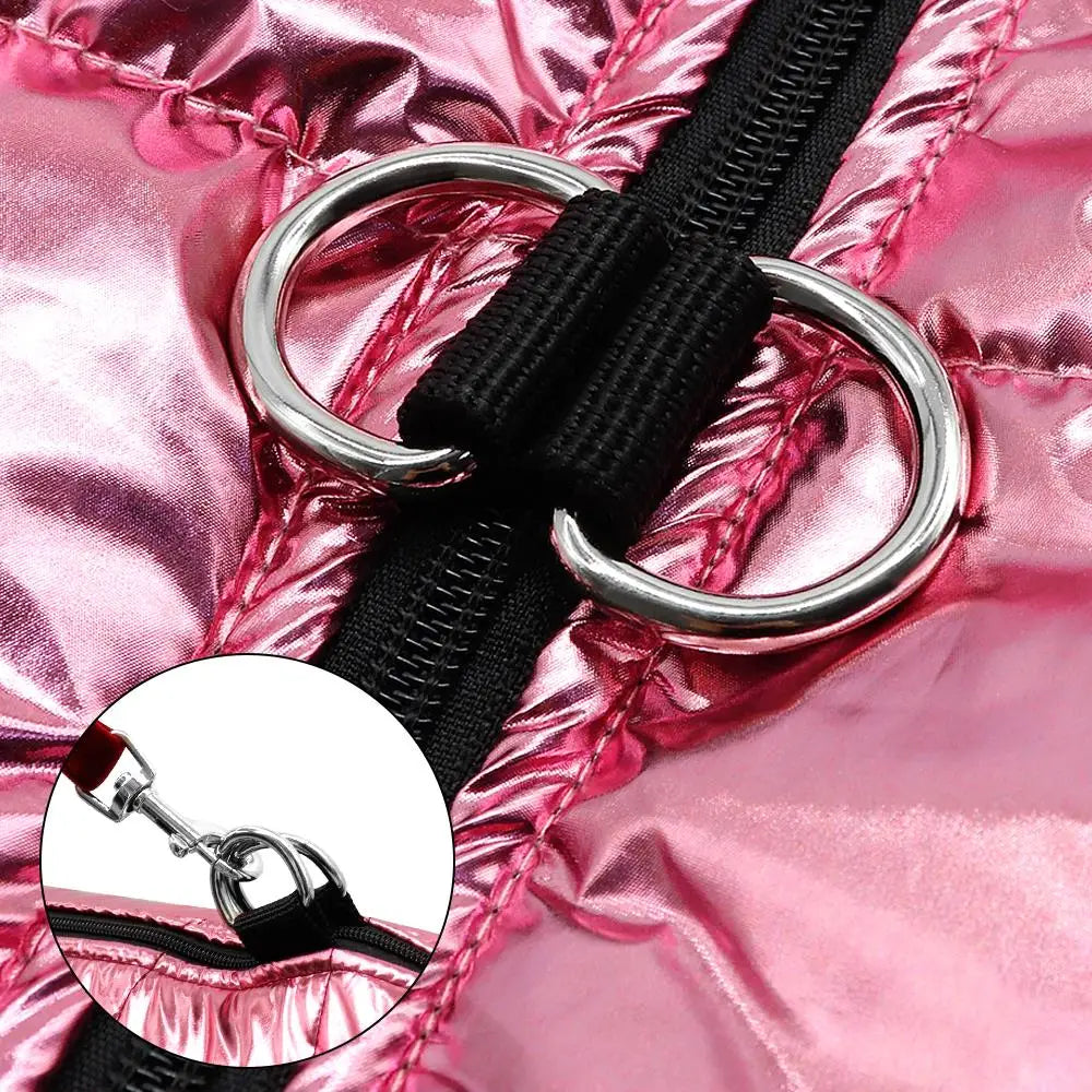 Cozy Waterproof Winter Jacket for Small & Medium Dogs