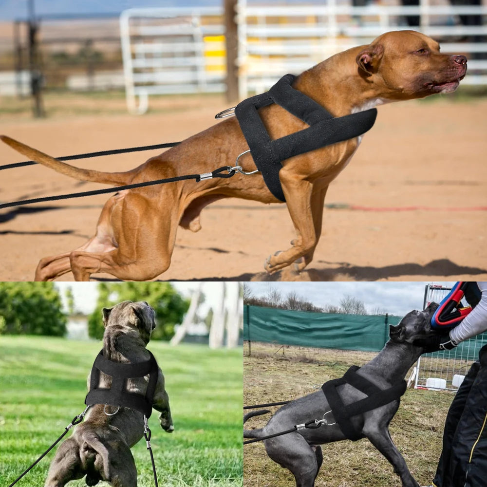 Heavy-Duty Sled & Weight Pulling Dog Harness - Ultimate Strength Training for Medium to Large Breeds
