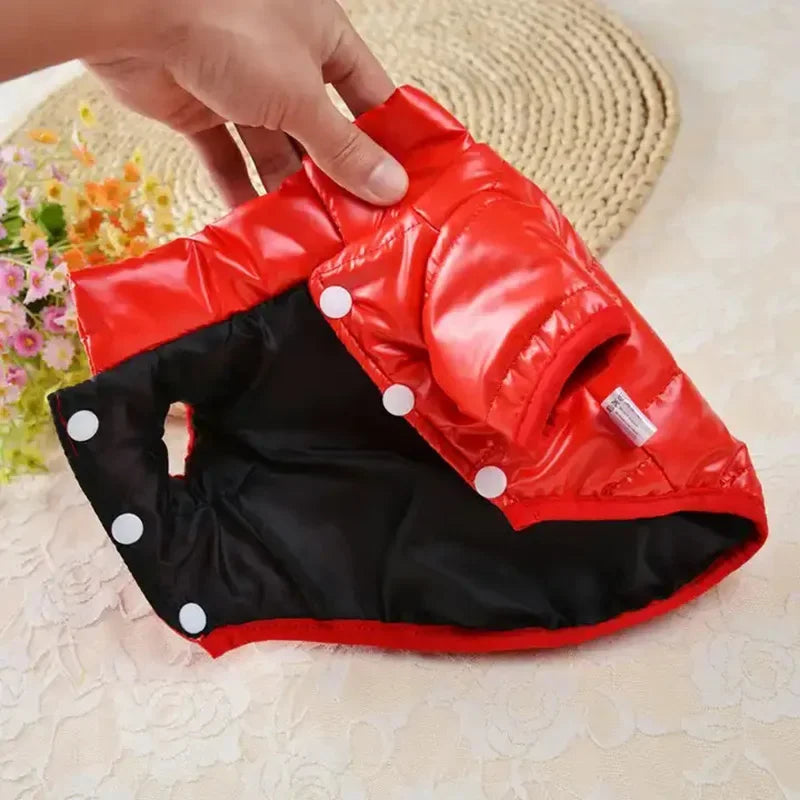 Bright & Cozy PU Leather Waterproof Dog Jacket - For Small Pets