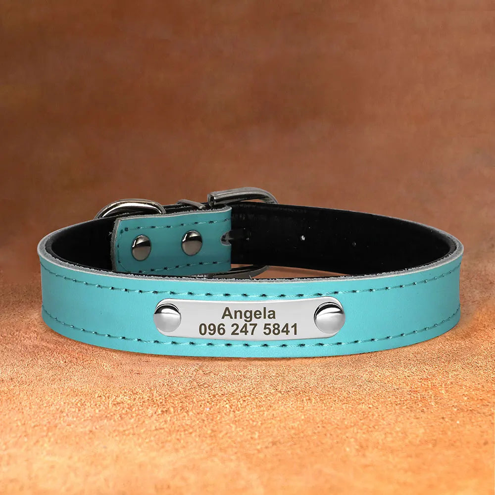 45674861854890|45674861887658|45674862117034