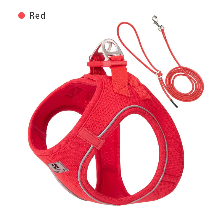 Reflective Comfort Harness & Leash Set for Small to Medium Dogs