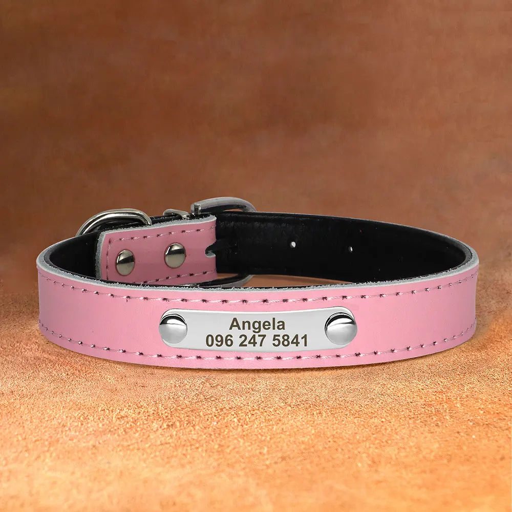 45674861920426|45674861953194|45674862280874