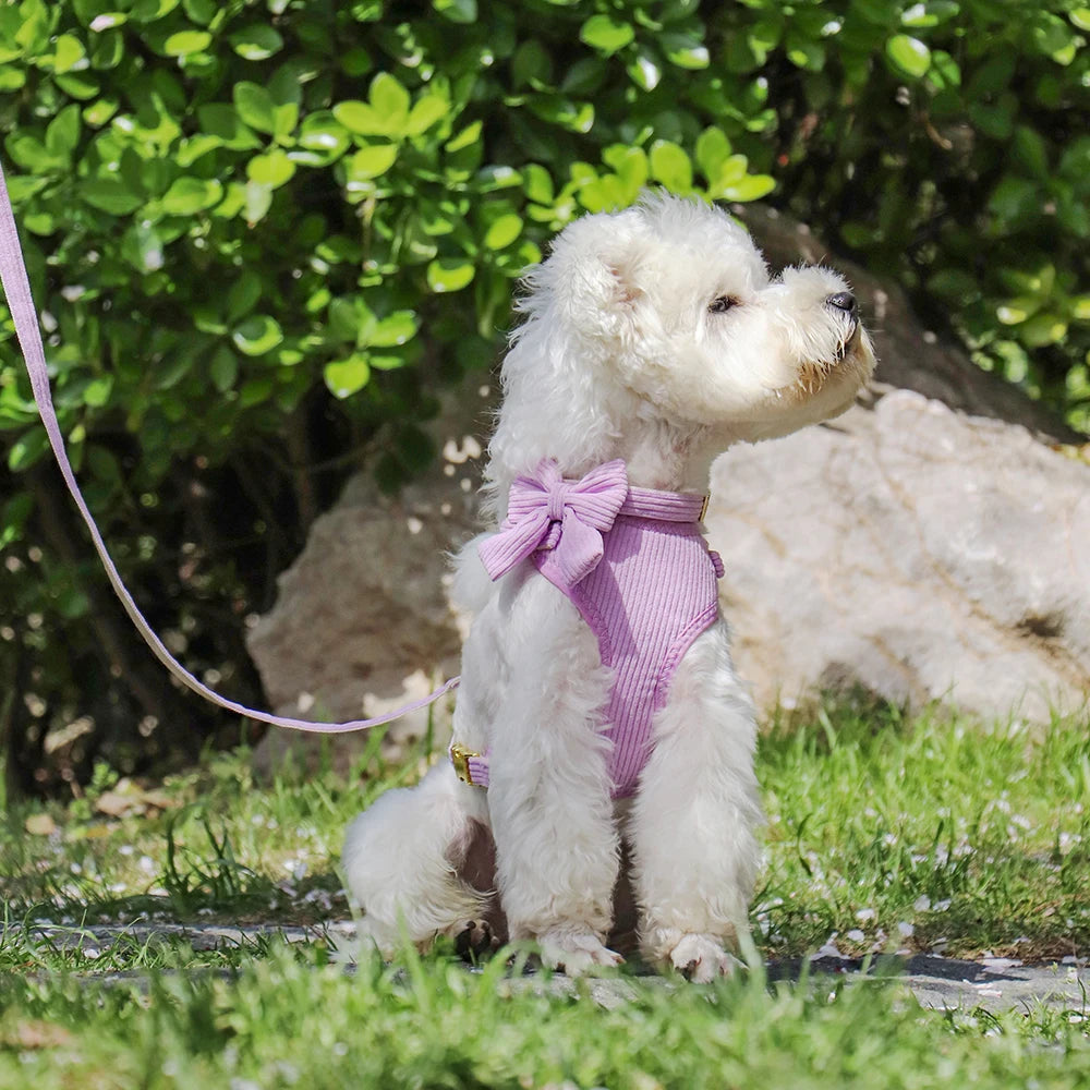 3-Piece Velvet Dog Collar, Harness & Leash Set with Bowknot Charm