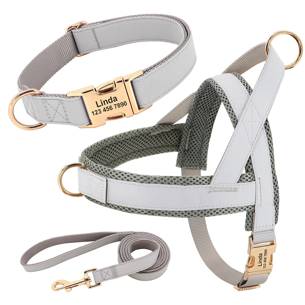 Personalized Leather Dog Collar & Harness Set with Custom ID – Perfect Fit for Every Dog