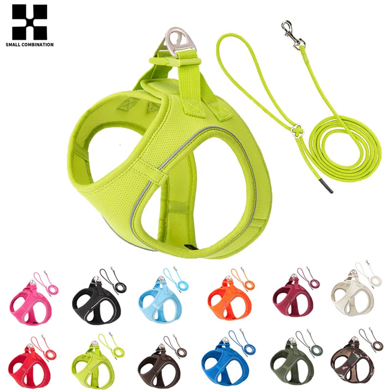 Reflective Comfort Harness & Leash Set for Small to Medium Dogs