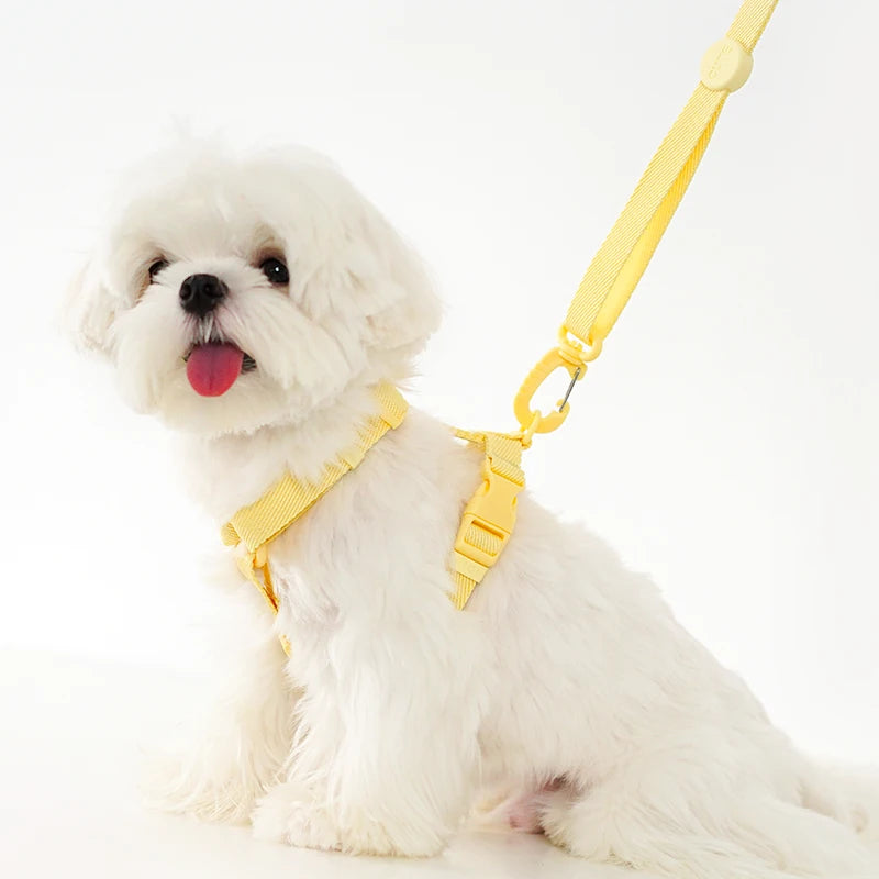 Macaron Color Dog Harness & Leash Set – Reflective Style for Puppies & Cats