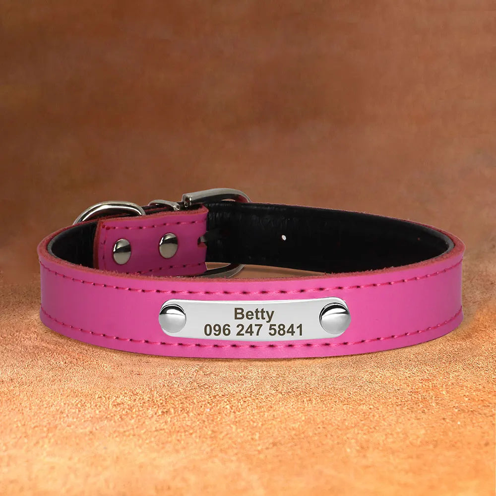 45674862149802|45674862182570|45674862215338