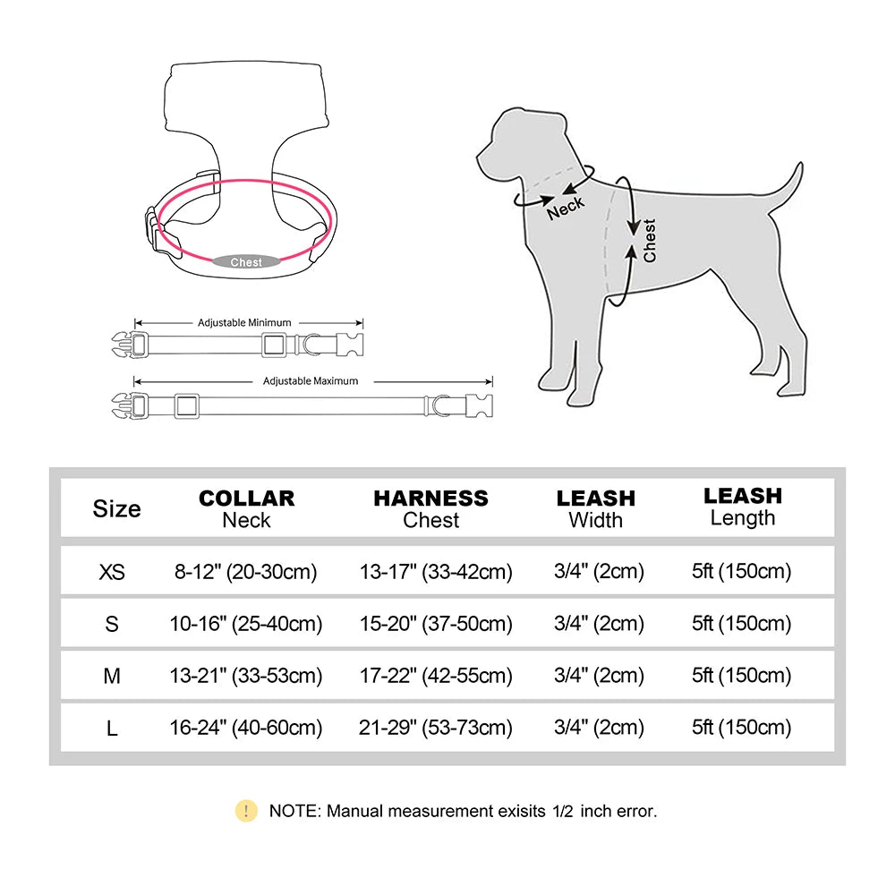 4-Piece Personalized Floral Dog Set: Engraved Collar, Harness, Leash & Treat Bag