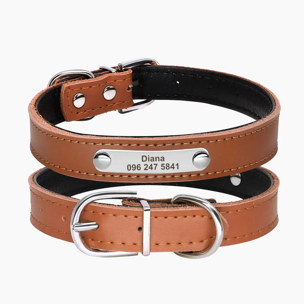 Personalized Leather Dog Cat Collar
