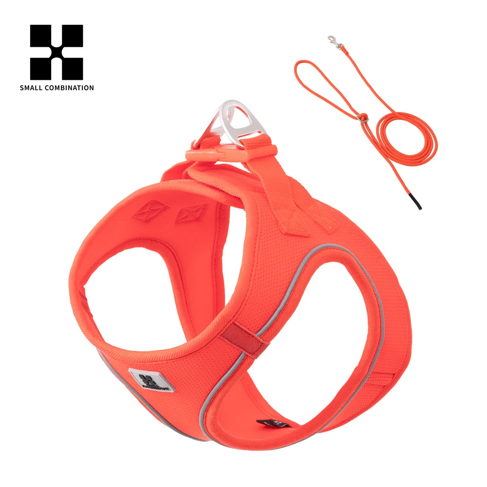 Reflective Comfort Harness & Leash Set for Small to Medium Dogs
