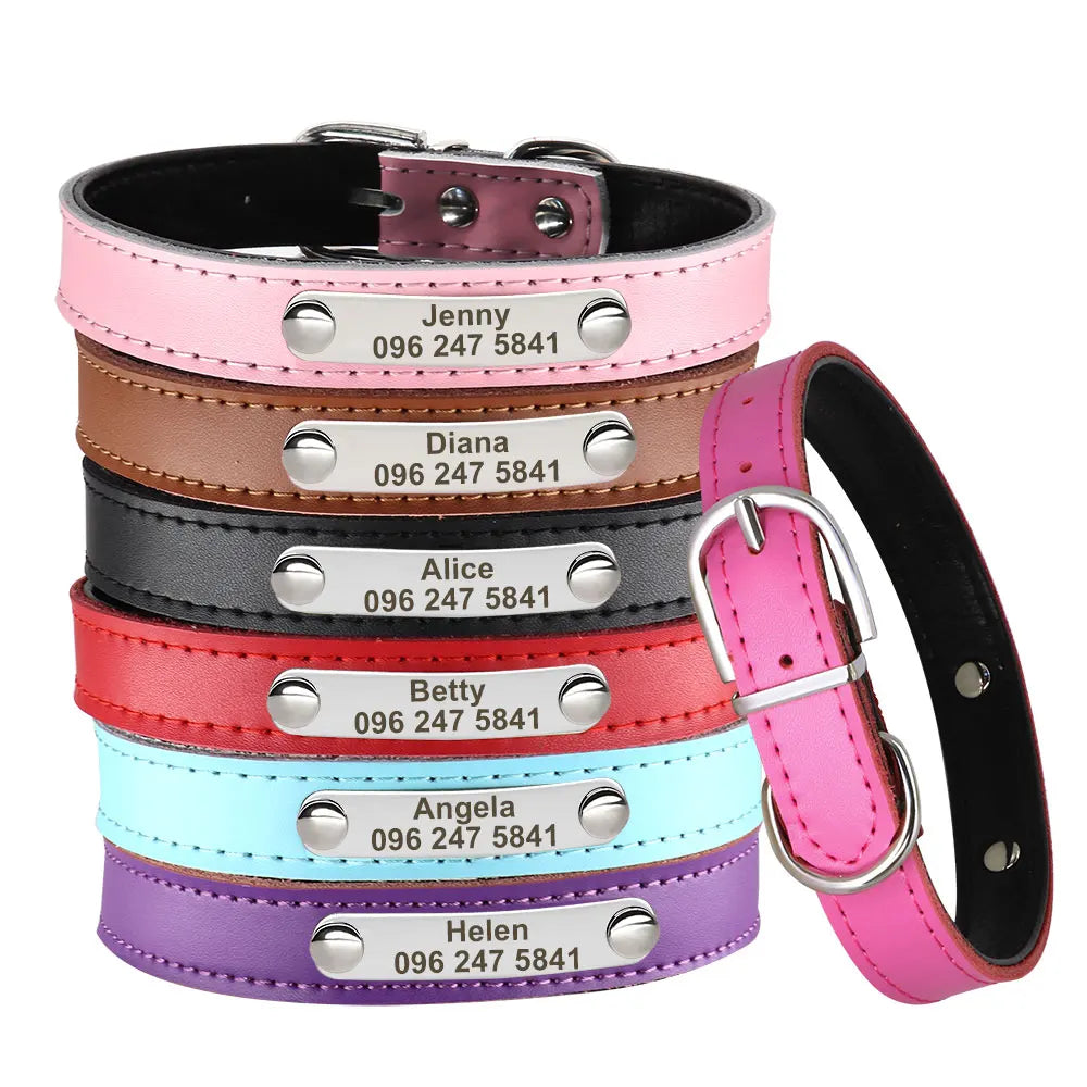 Personalized Leather Dog Cat Collar