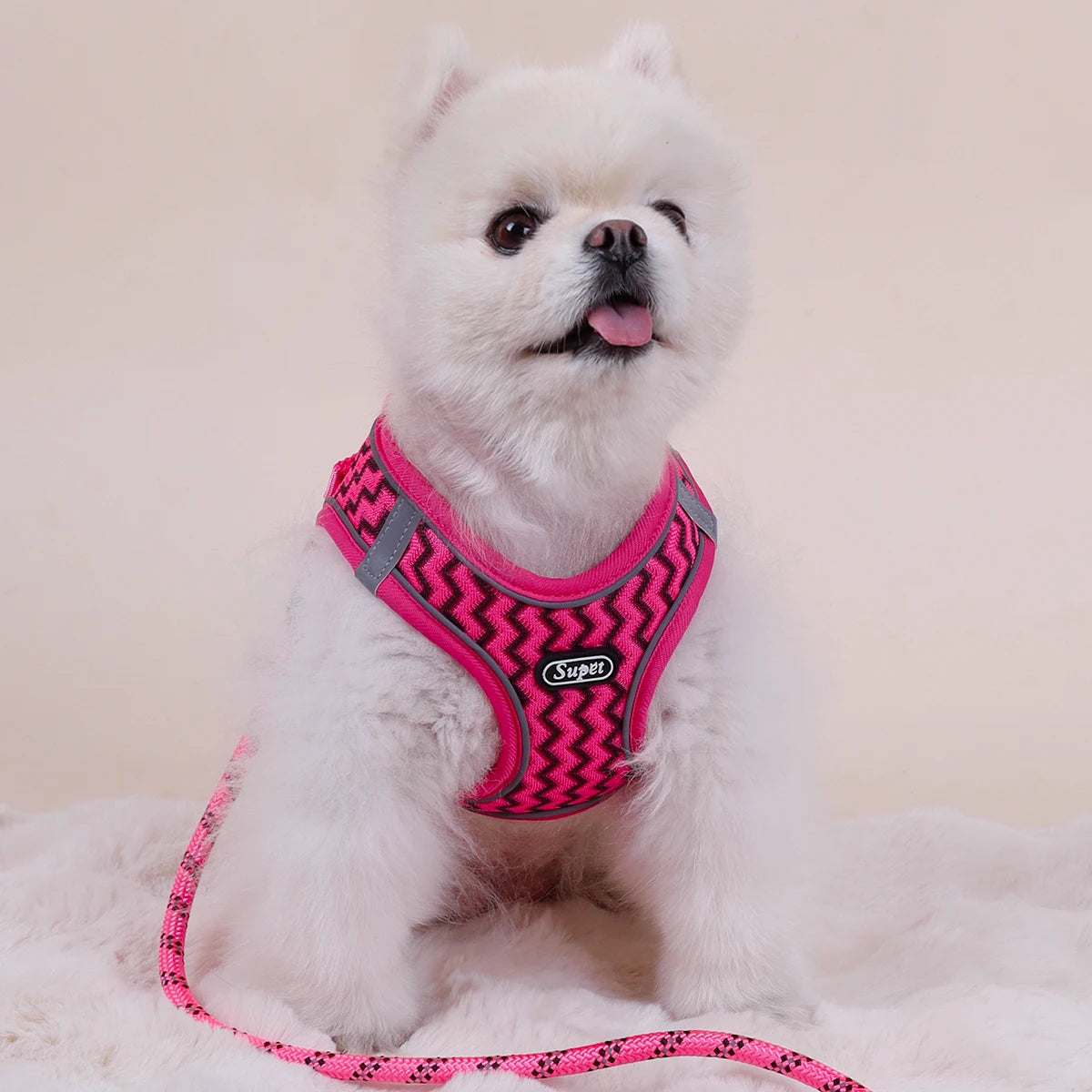 Wave Pattern Pet Harness – Breathable Comfort for Cats & Dogs