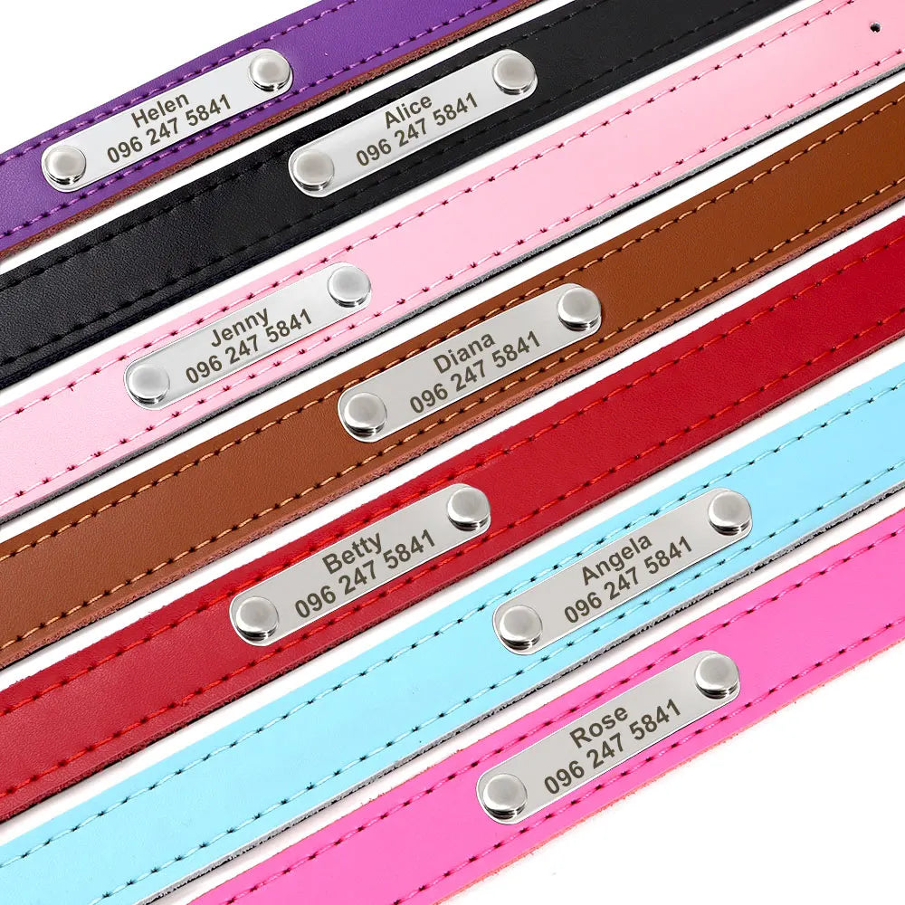 Personalized Leather Dog Cat Collar