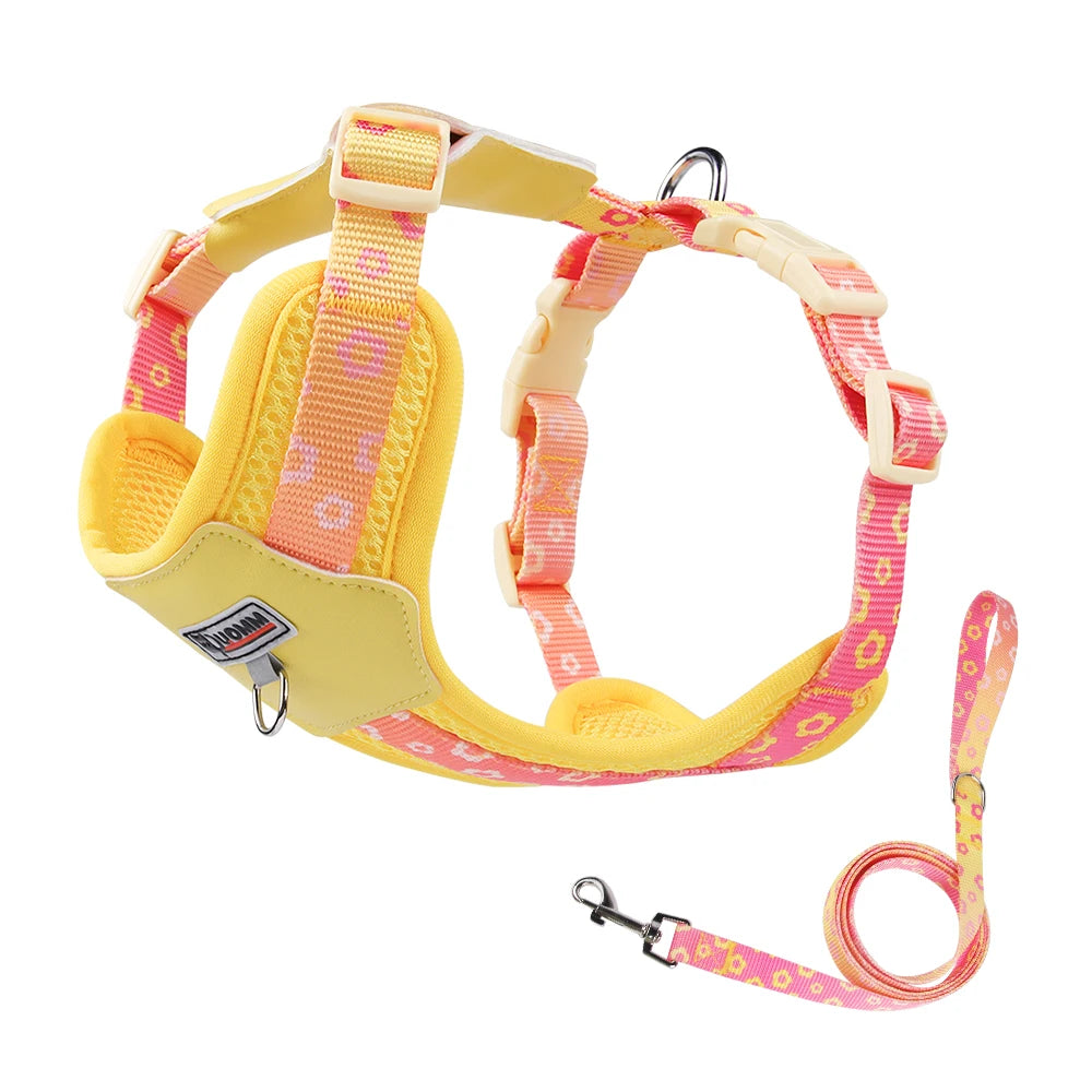 Vibrant Gradient No-Pull Dog Harness & Leash Set for Small Dogs