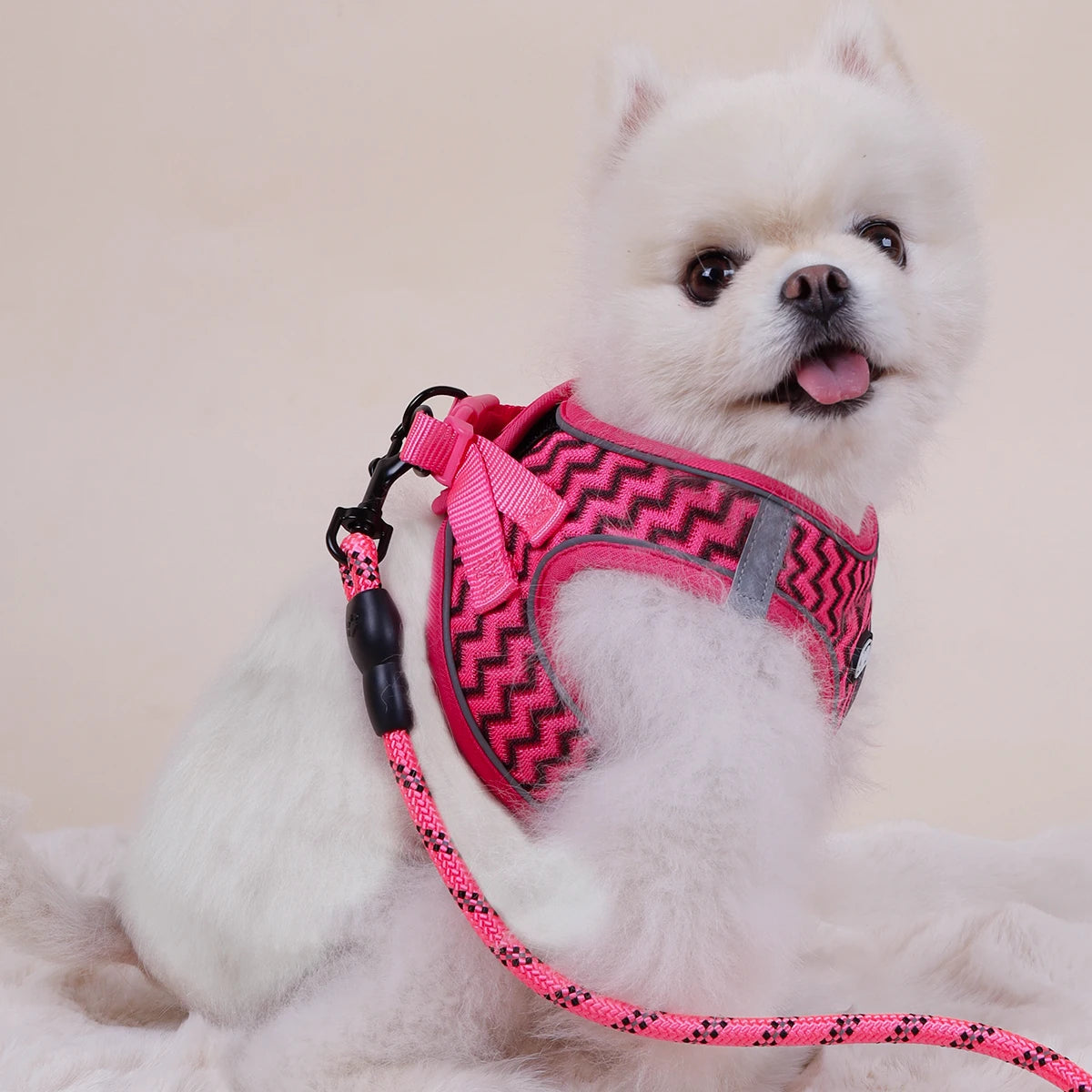 Wave Pattern Pet Harness – Breathable Comfort for Cats & Dogs