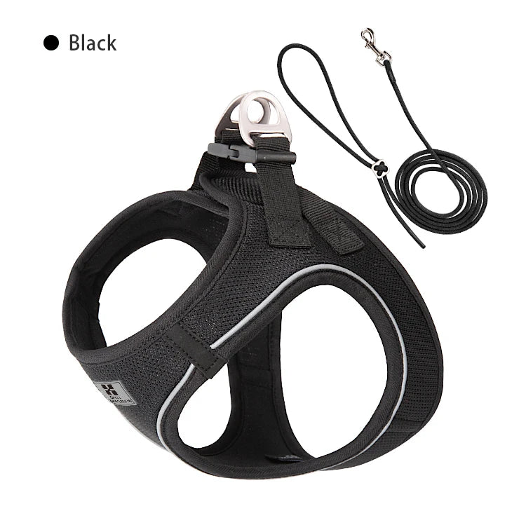 Reflective Comfort Harness & Leash Set for Small to Medium Dogs