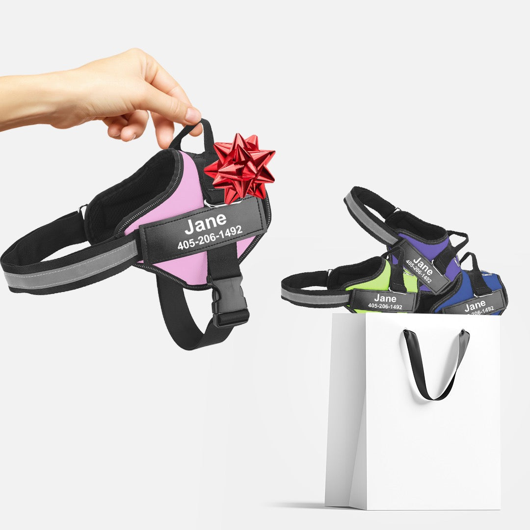 Premium Personalized Dog Harness